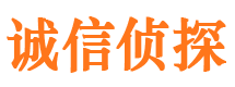 成安市侦探调查公司